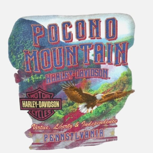 Harley-Davidson Women’s T-Shirt Sz M NEW Gray V-Neck Pocono Mts Short Sleeve - Picture 8 of 11